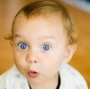 عکس تربیت.jpg