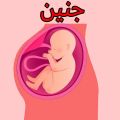 تصویر بندانگشتی از نسخهٔ مورخ ‏۲۷ مهر ۱۴۰۳، ساعت ۱۱:۳۹