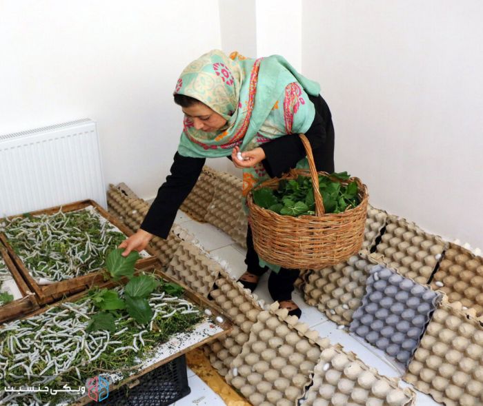 نقش پررنگ مشاغل خانگی در کنشگری اجتماعی زنان