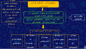 وظیفه حلقه میانی.png
